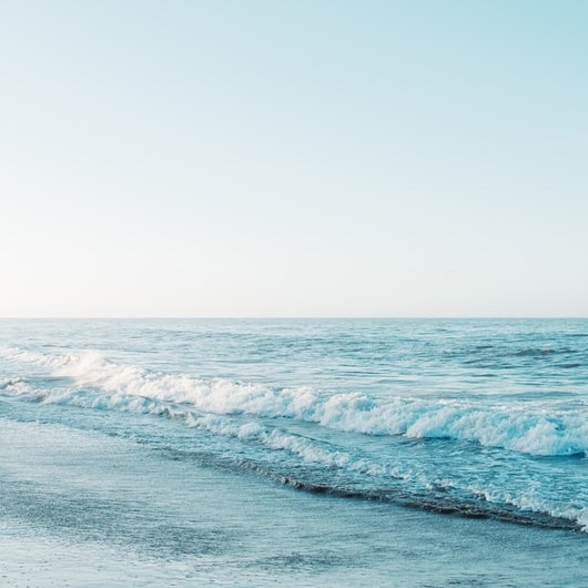 かわいい盛り😍